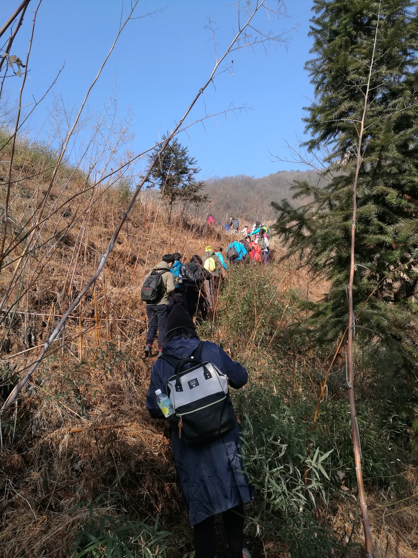  高尔夫公开赛，吴越闪电队与泰山玄武队强势横扫，VAR改判成焦点！
